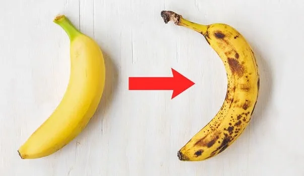 Why Do Bananas Ripen Quickly
